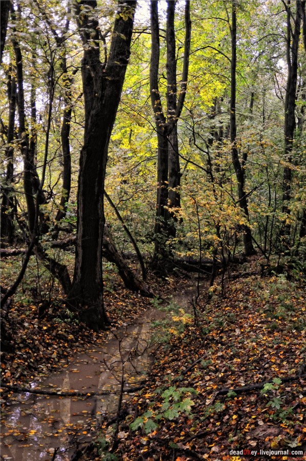 усадьба Ляхово