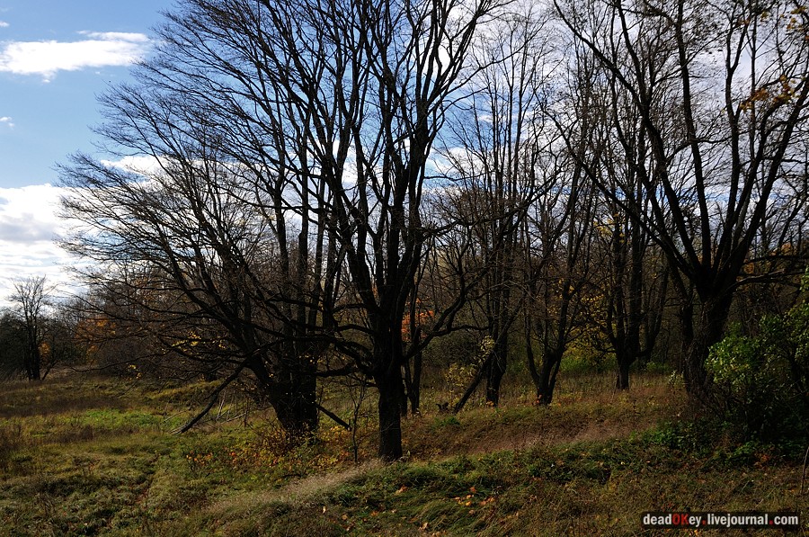 усадьба Авчурино
