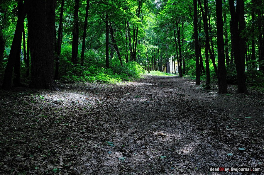 усадьба Братцево