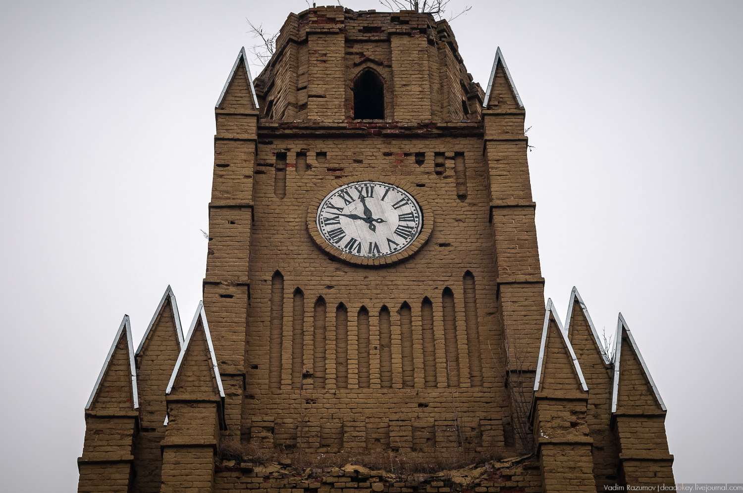 усадьба Осташево, Волоколамский район