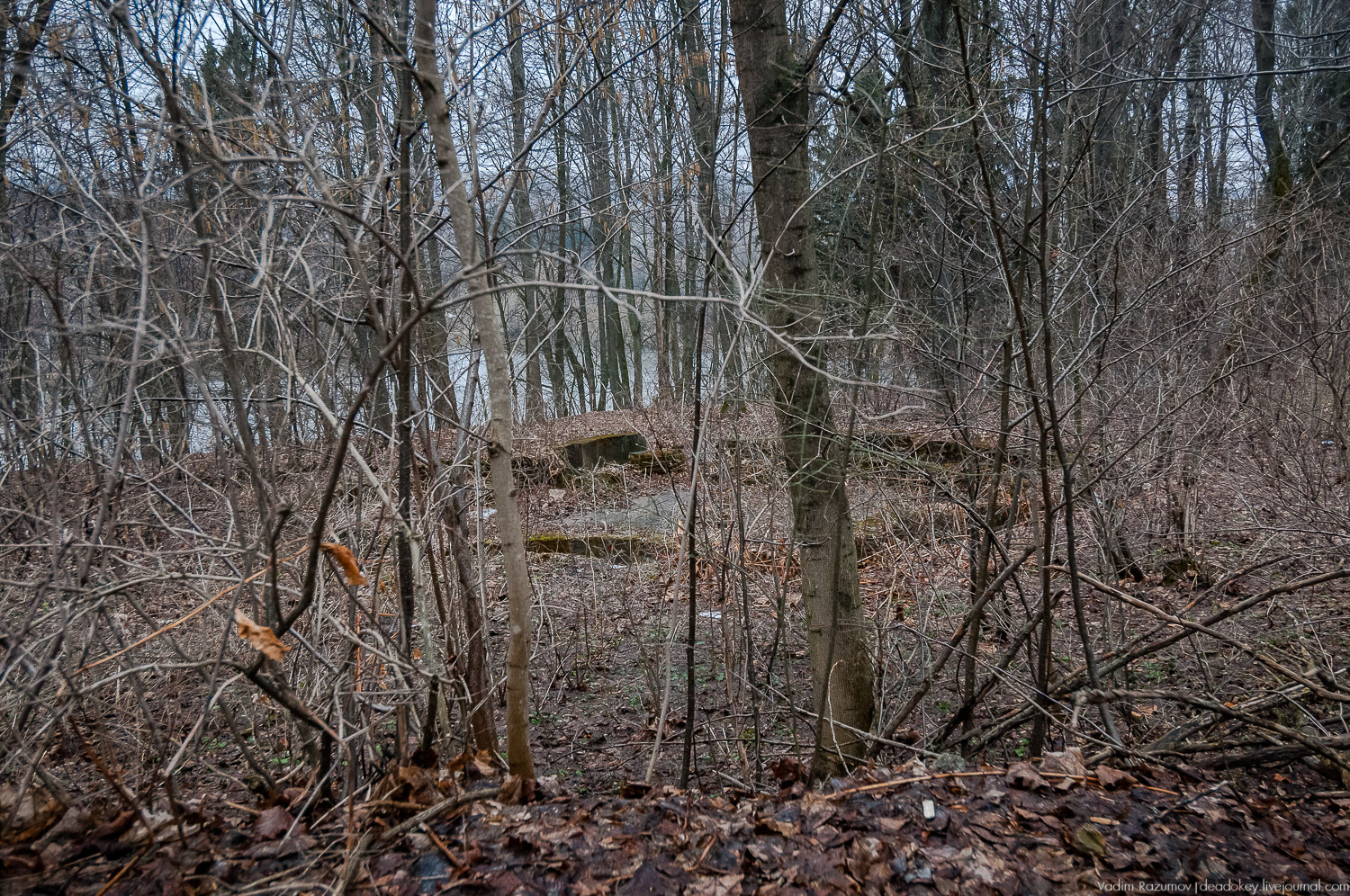 Усадьба Сенницы