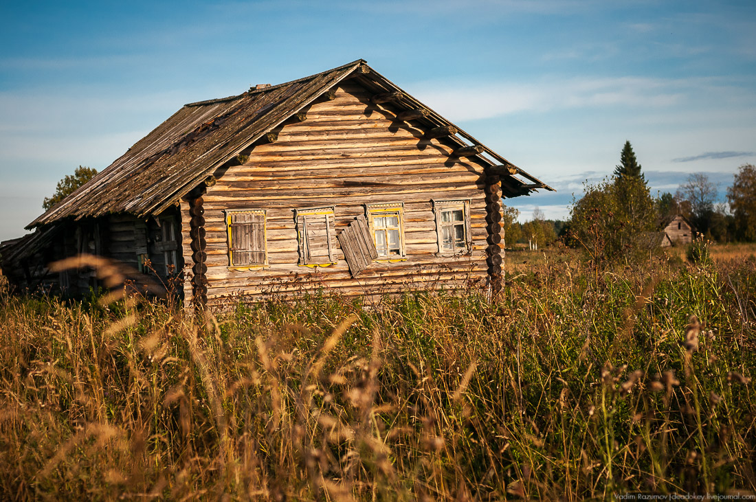 дер. Кучепалда, Архангельская обл.