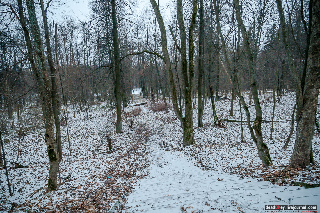 усадьба Никольское-Обольяниново