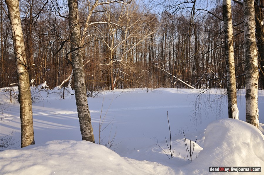 усадьба Зюзино