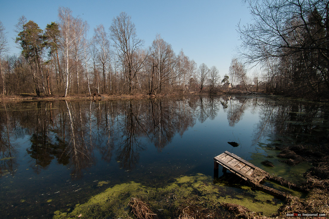 усадьба Савинское (исследование масонского парка)