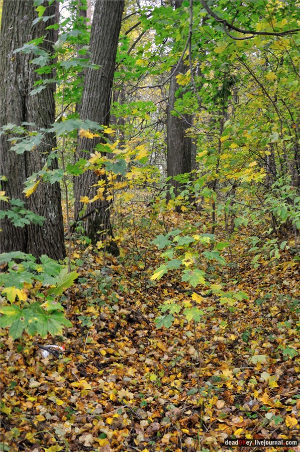 усадьба Федоровское
