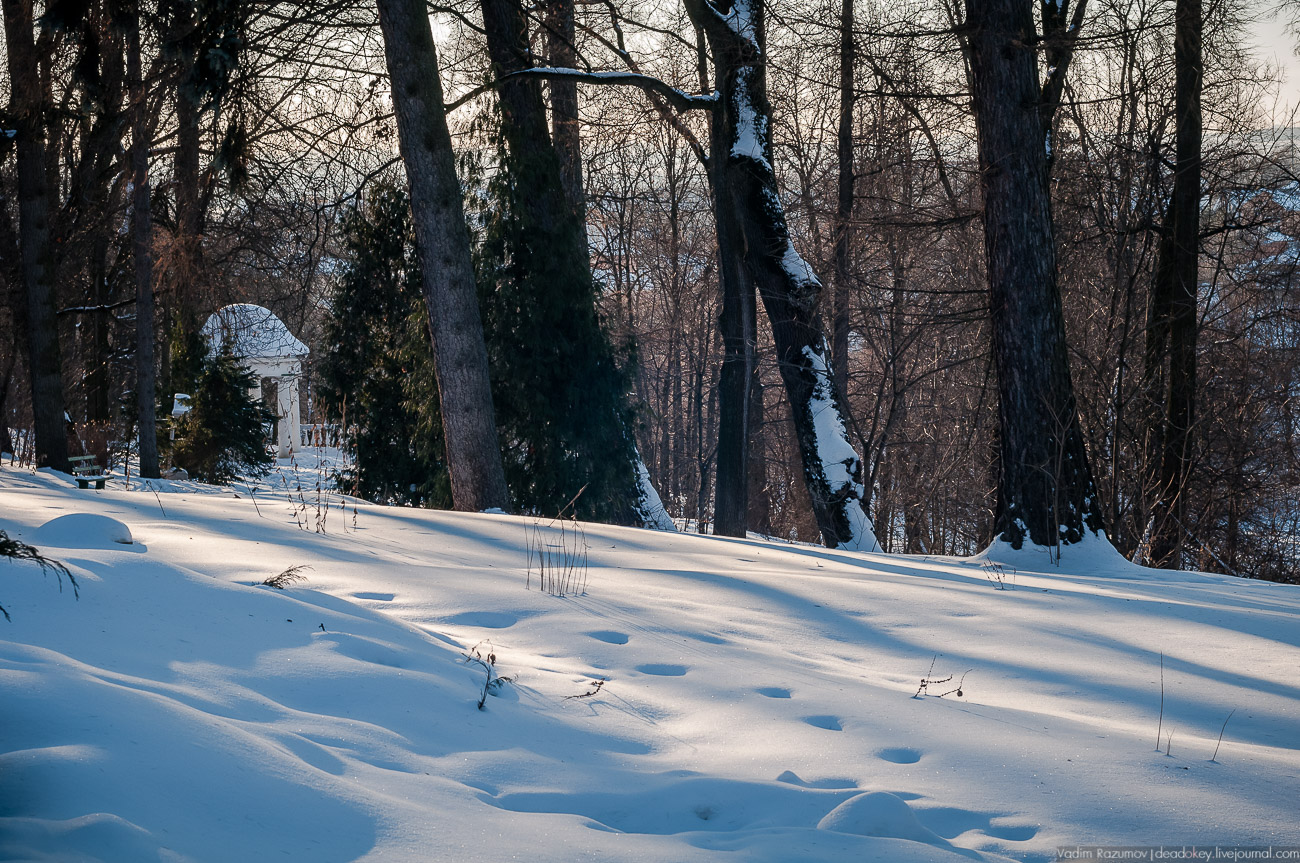 архивные фотографии, усадьба Горки Ленинские, Московская область, Ленинский район.