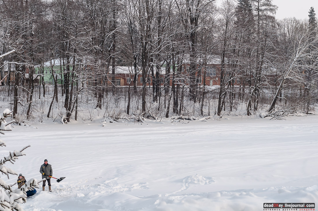 усадьба Васильевское-Скурыгино