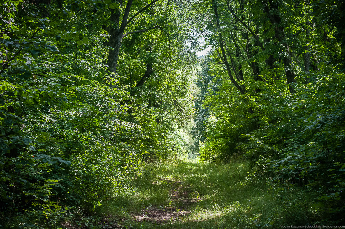 усадьба Стегаловка Ведровых