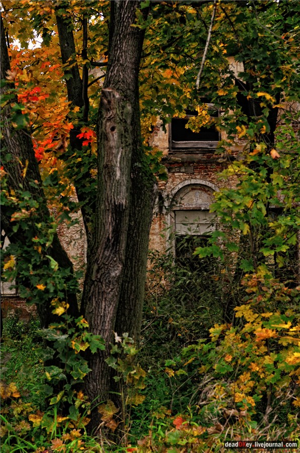 усадьба Ляхово