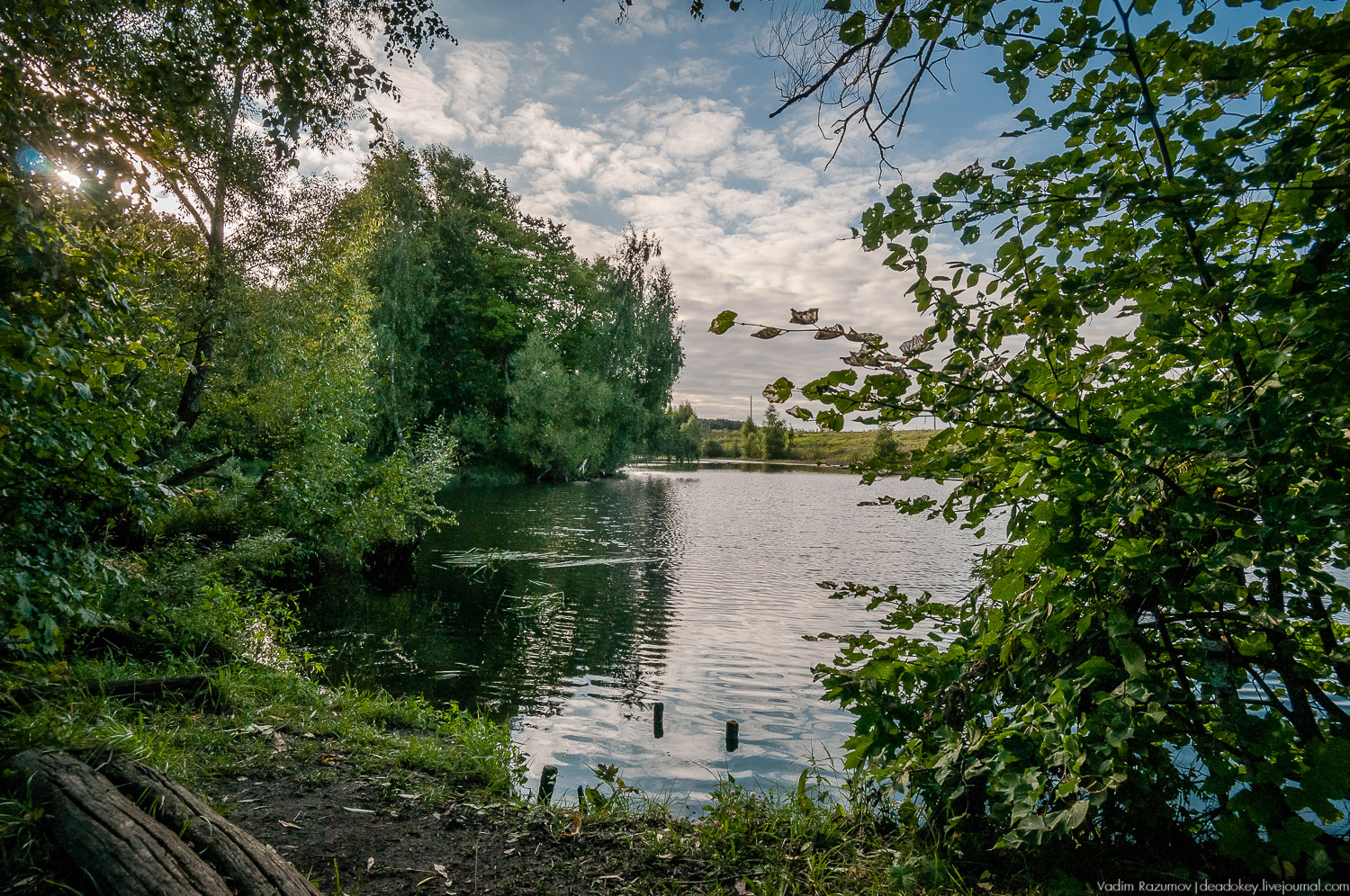 усадьба Даровое, Зарайский район, Ф.М. Достоевский