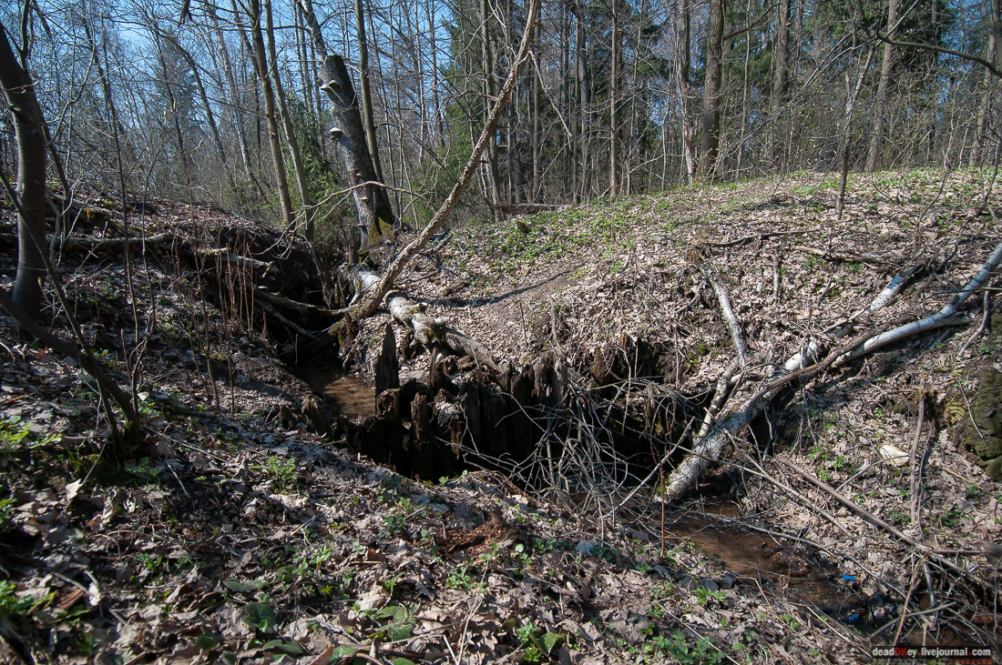 усадьба Савинское (исследование масонского парка)
