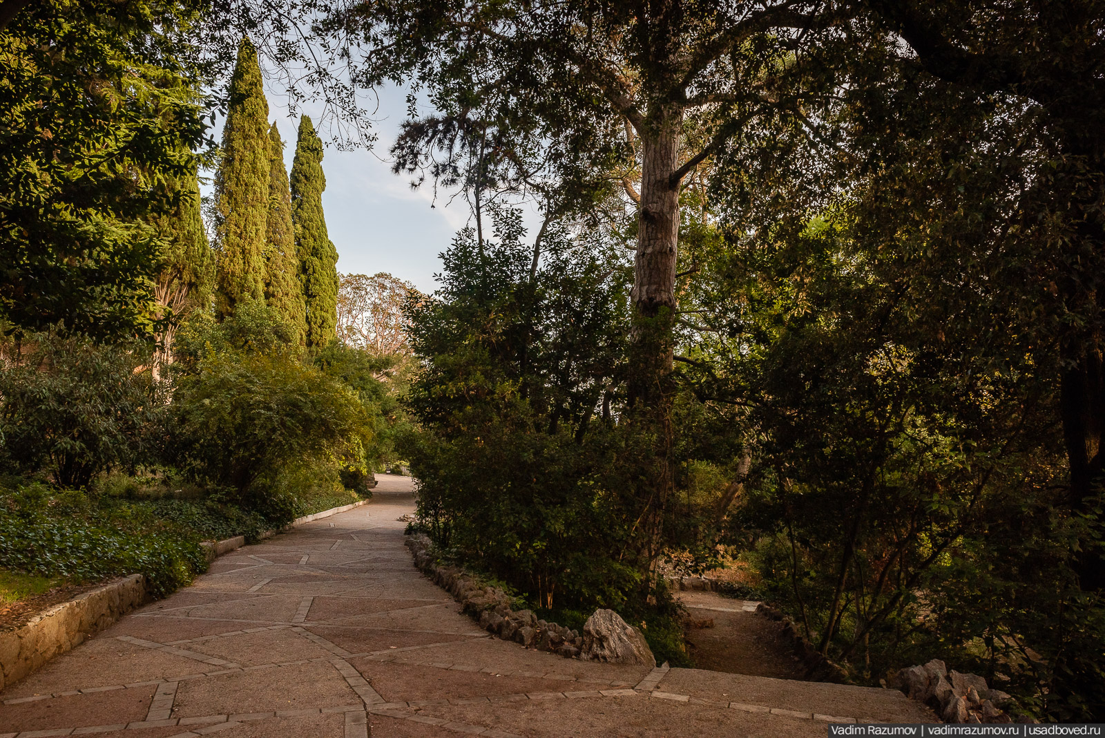 Никитский ботанический сад