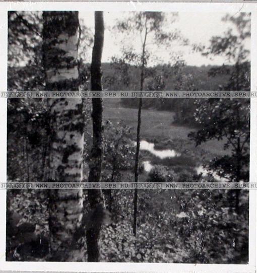 усадьба Городня