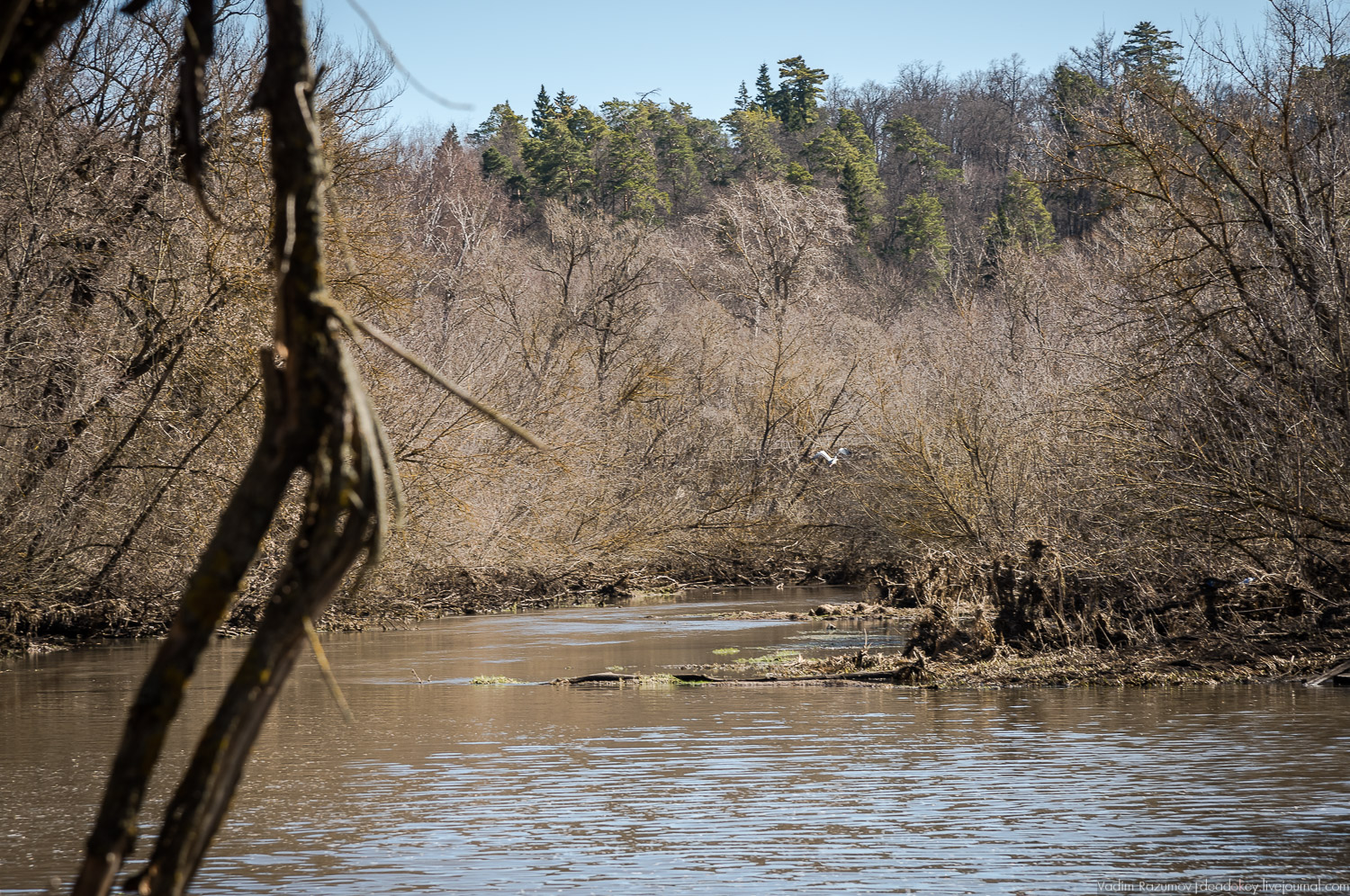 усадьба Моховое, Орловская область