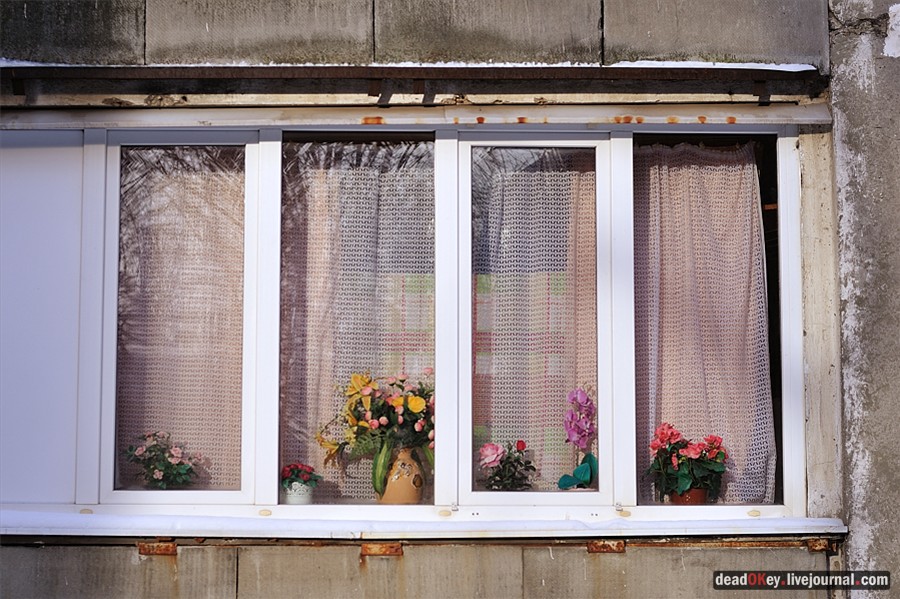 усадьба Белая Дача