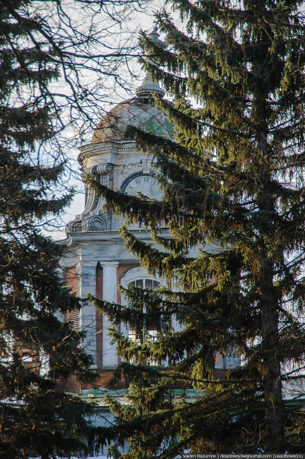 Усадьба Виноградово, Москва, башня дома Германа