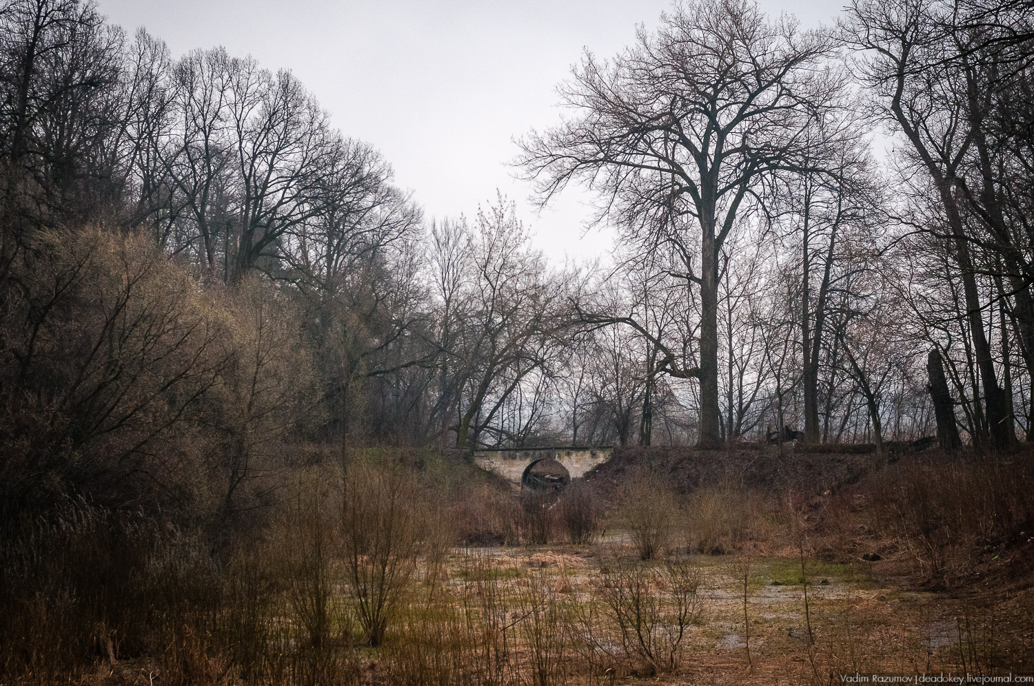 усадьба Петрово (Дурнево, Петрово-Дальнее), Красногорский район, Московская область
