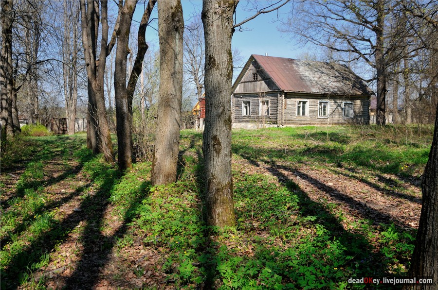 усадьба Андреевское-Туркино (Перематкино)