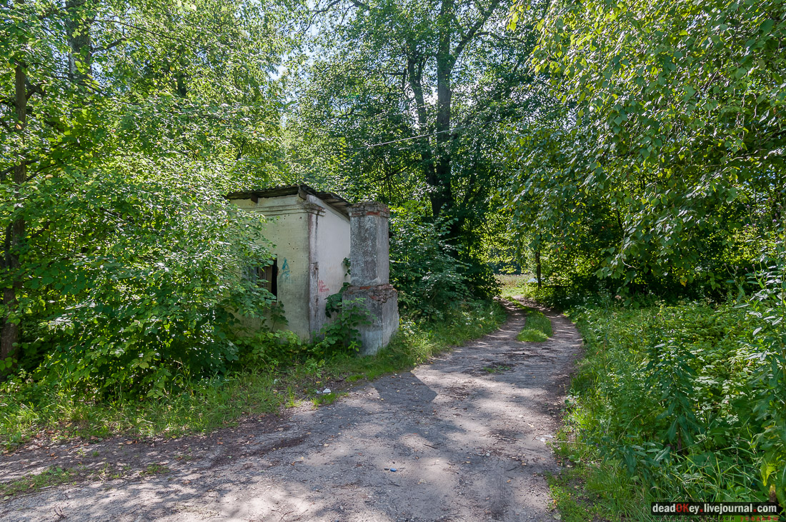 усадьба Васильевское Повалишиных