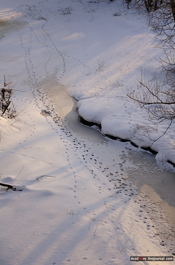 усадьба Андреевское