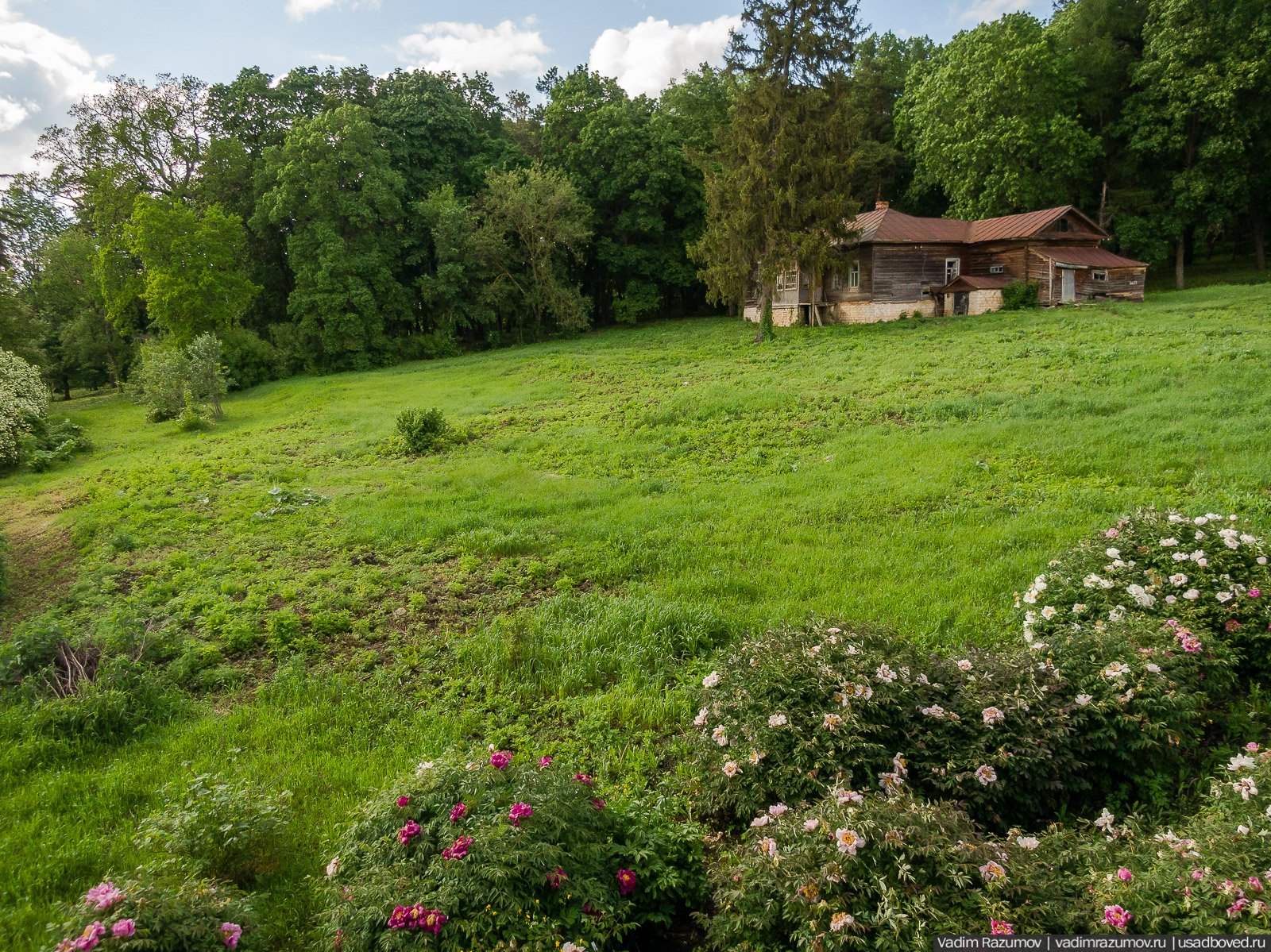Мещерский дендрарий, ЛОСС, усадьба Барсуково, цветение сирени, Липецкая области