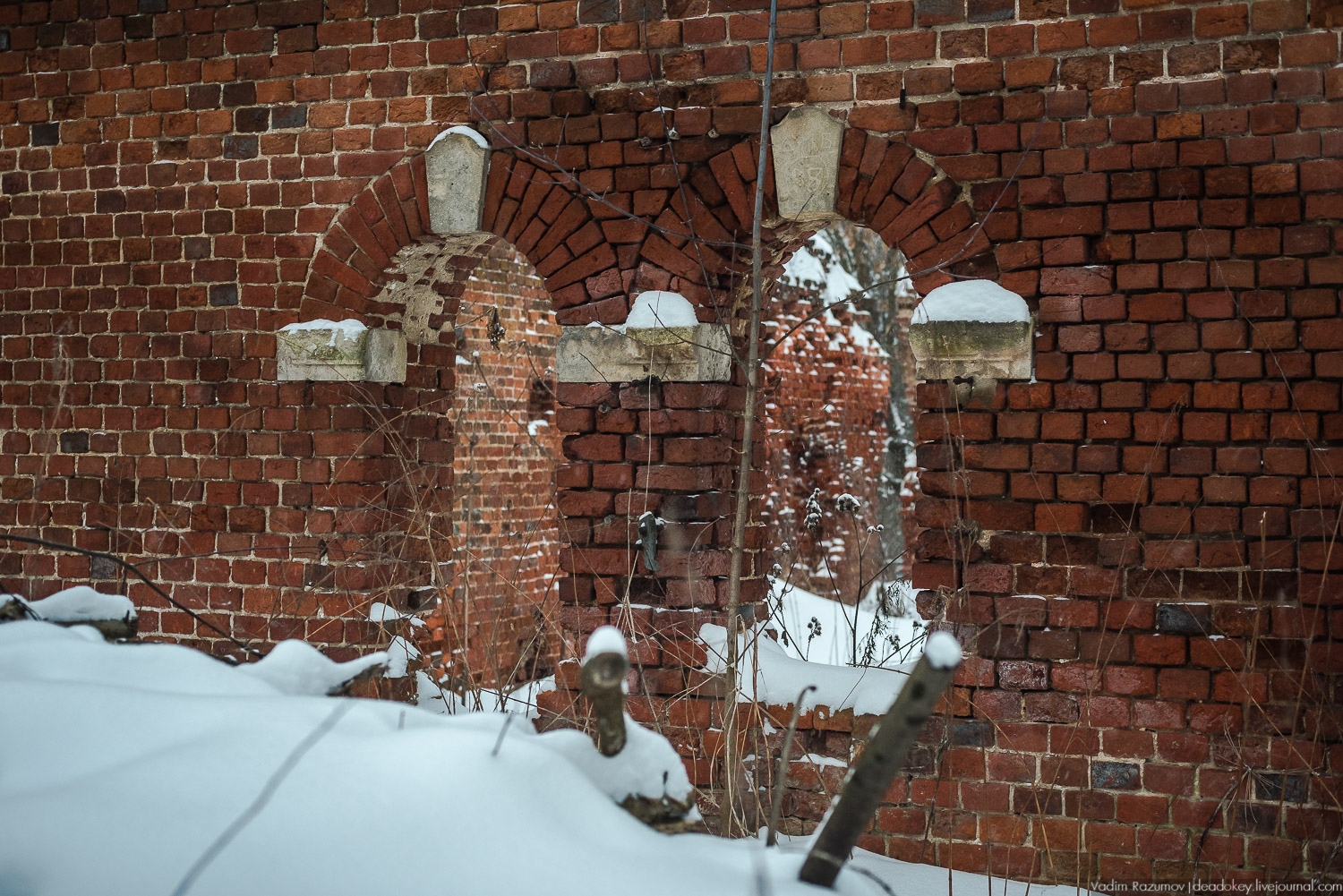 усадьба Знаменское-Садки