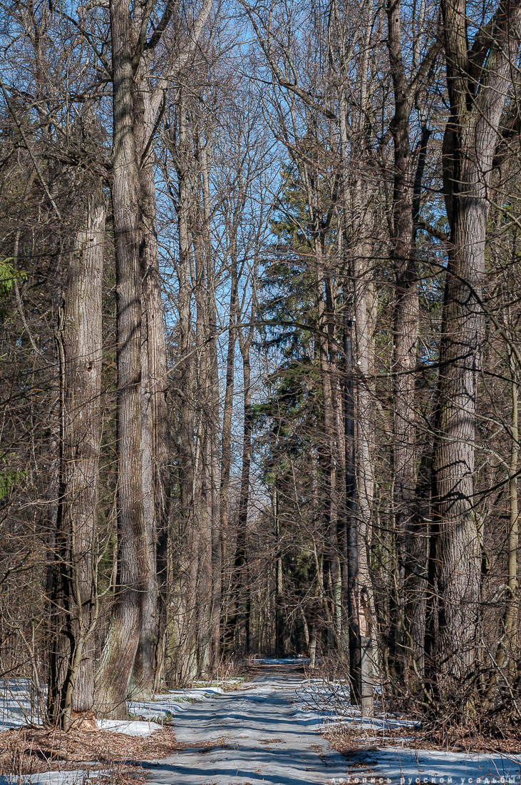 усадьба Доброе