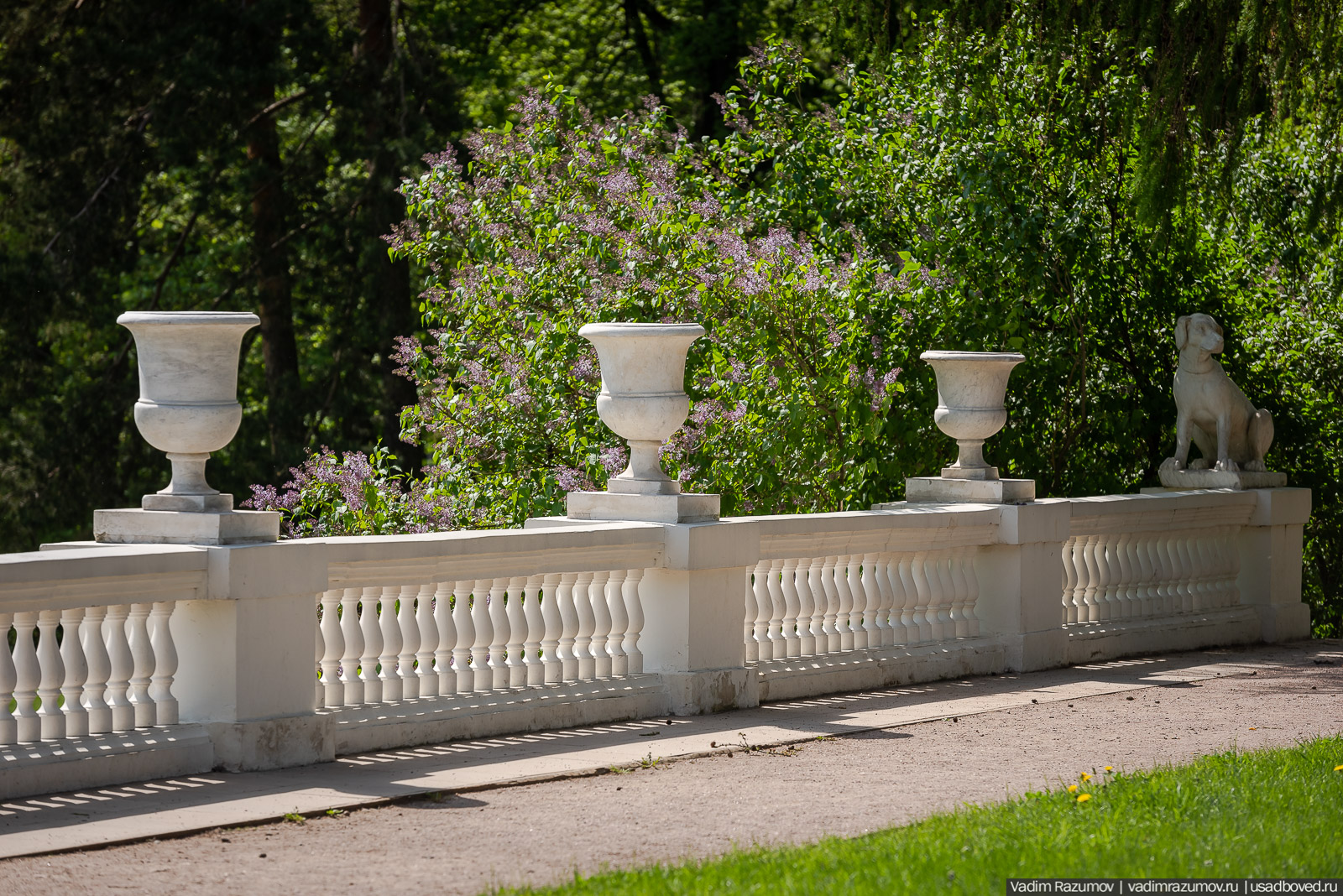 усадьба Архангельское, весна, май 2021