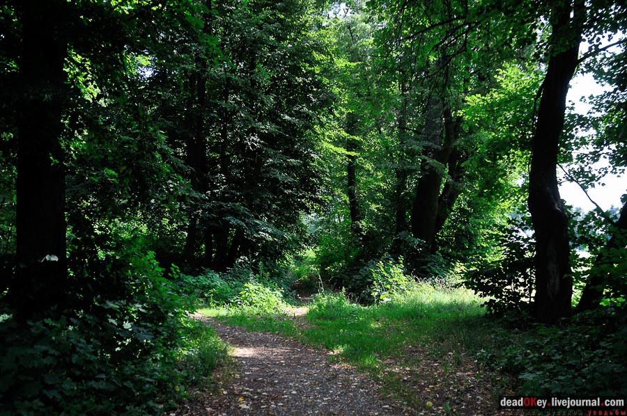 усадьба Городна