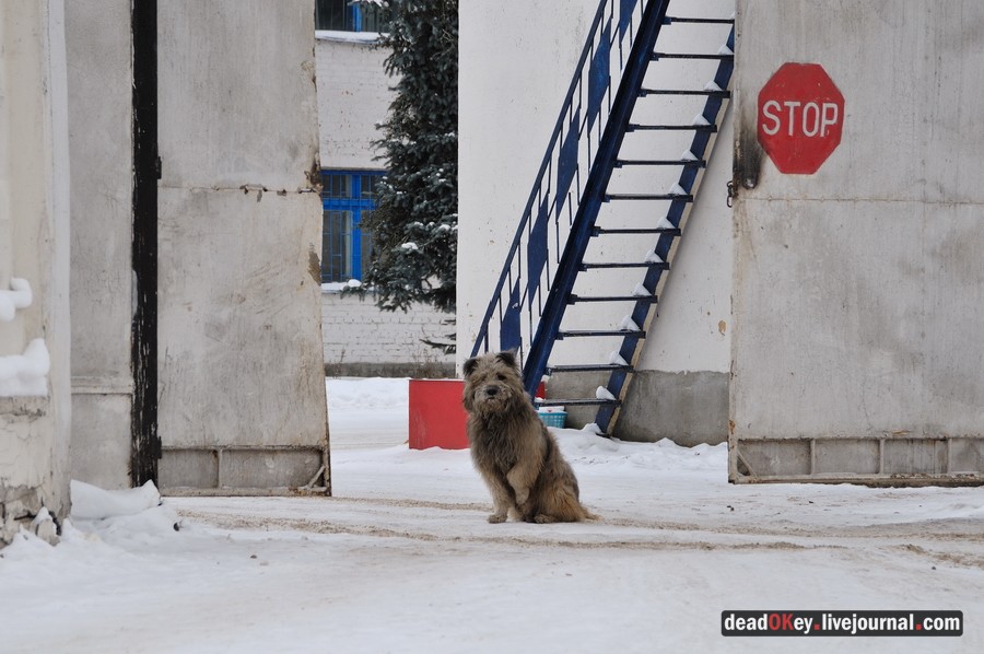 усадьба Лукино-Варино