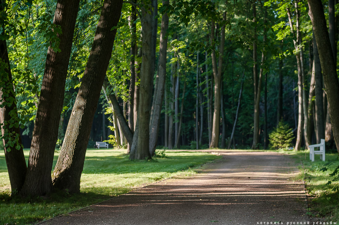 усадьба Степановское-Волосово, фотографии с дрона, шетлендский пони Трамп