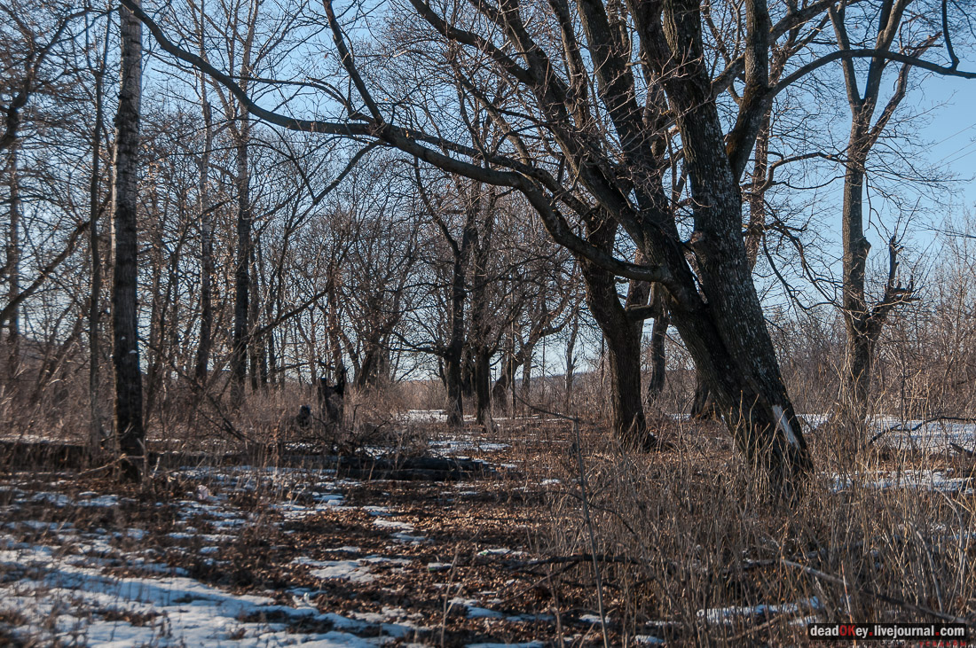 усадьба Трубетчино, Липецкая область