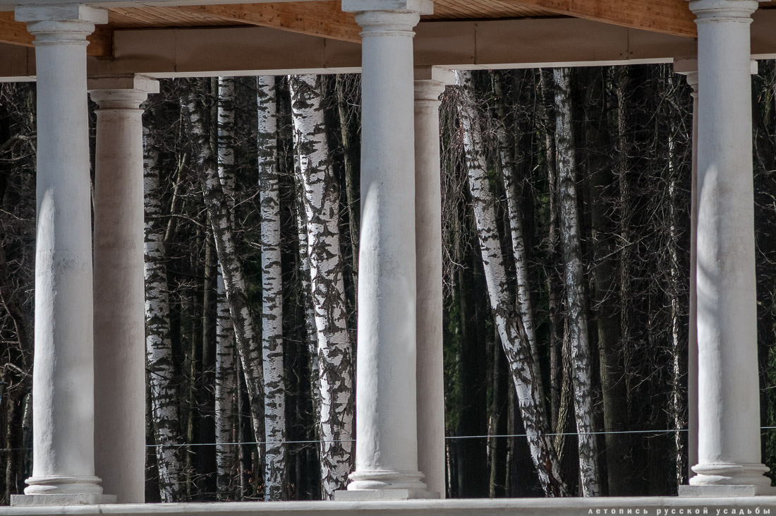 Усадебный экспресс. Остафьево и Суханово.