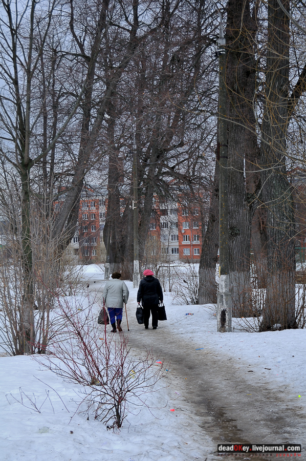 усадьба Сынково