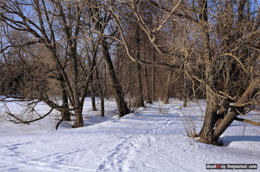 усадьба Федино