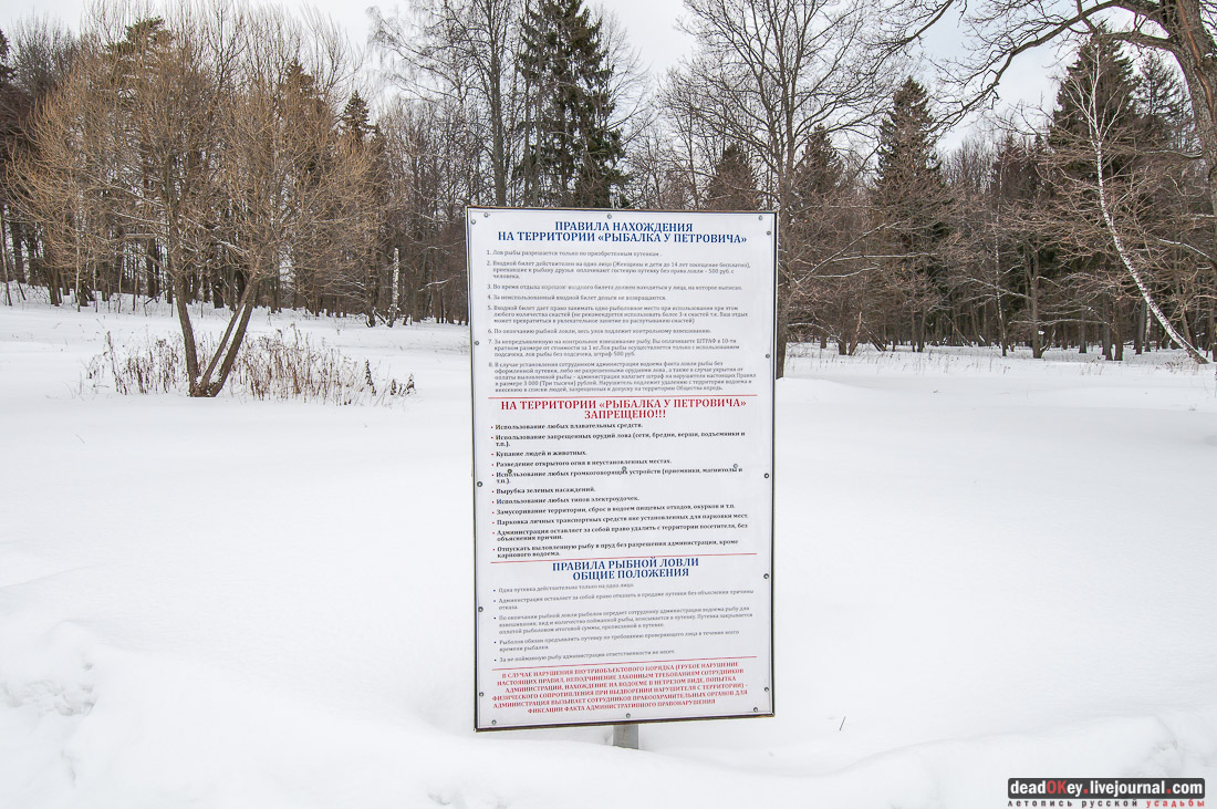 усадьба Ольгово, съемки телеканала Россия-1 для передачи Вести