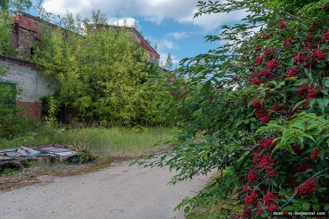 Фабрика Ягужинского, Павловская Слобода, пожар