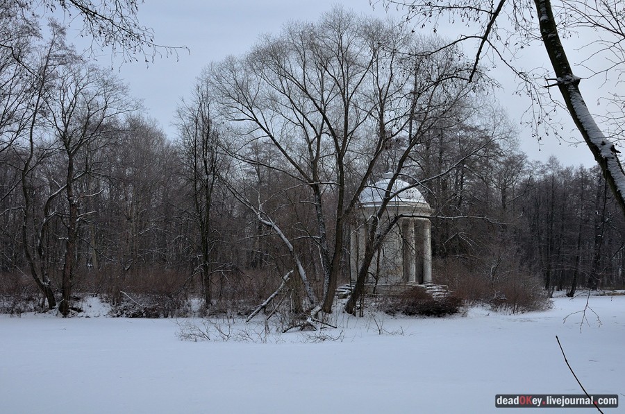 усадьба Быково