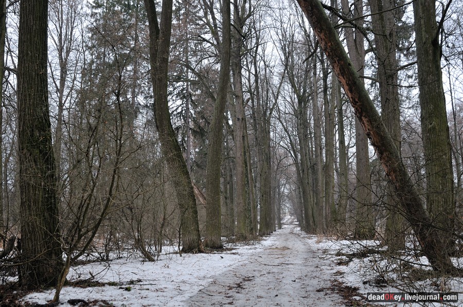 усадьба Иславское