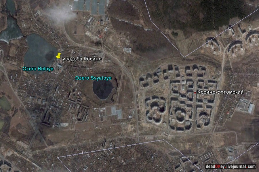 усадьба Косино