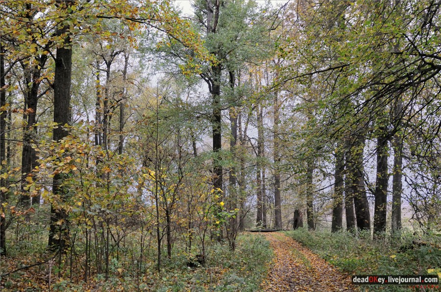 усадьба Федоровское