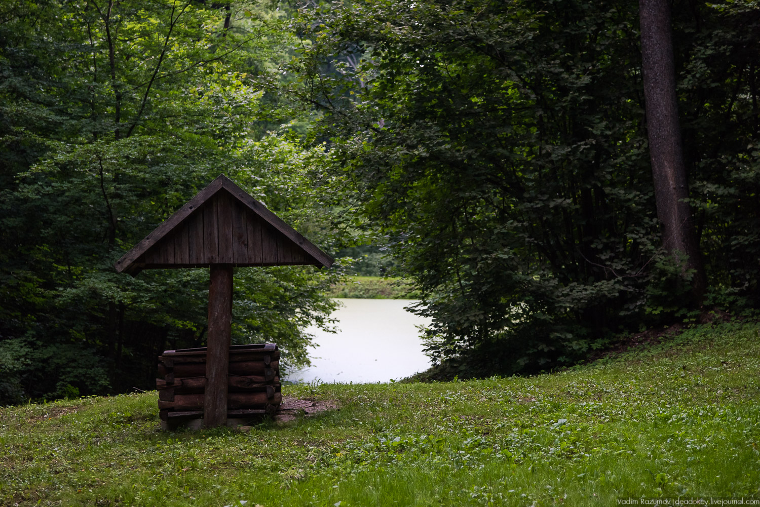 усадьба Спасское-Лутовиново И.С. Тургенева, юбилей Тургенева 200 лет, Орловская область