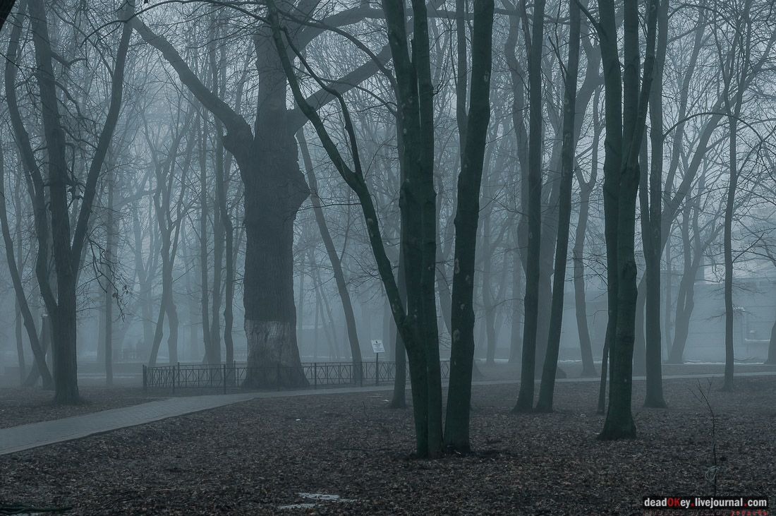 усадьба Асеевых, г.Тамбов