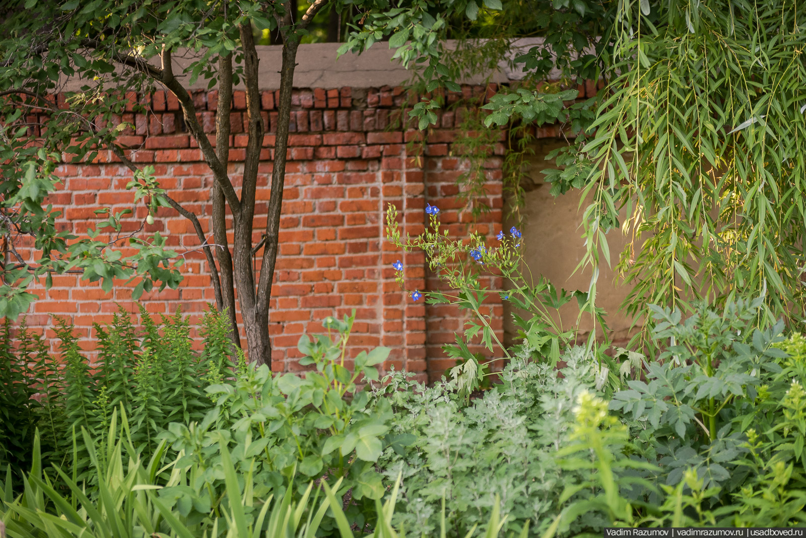 Богородицк, сад во дворце