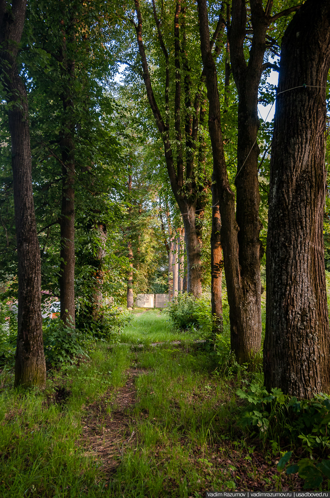 усадьба Колосово Пасхаловых, Тульская область, Алексинский район
