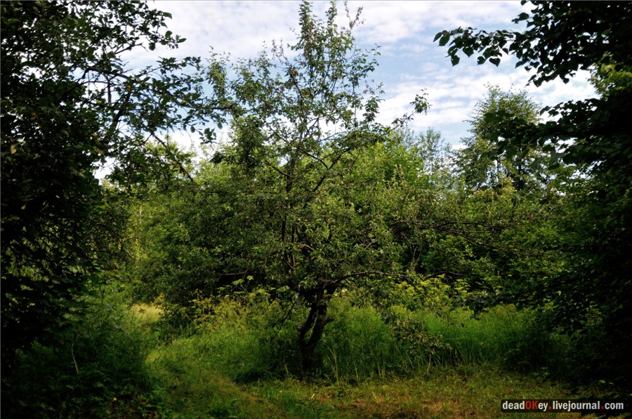 усадьба Алмазово