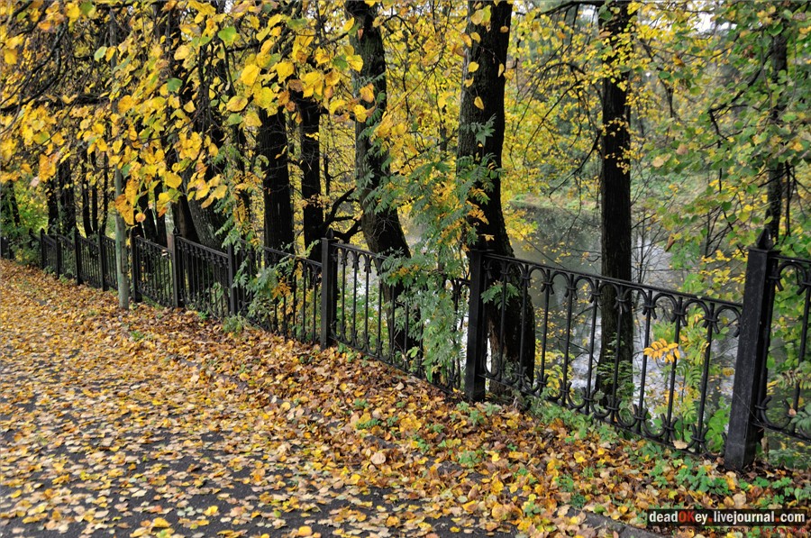 усадьба Марфино