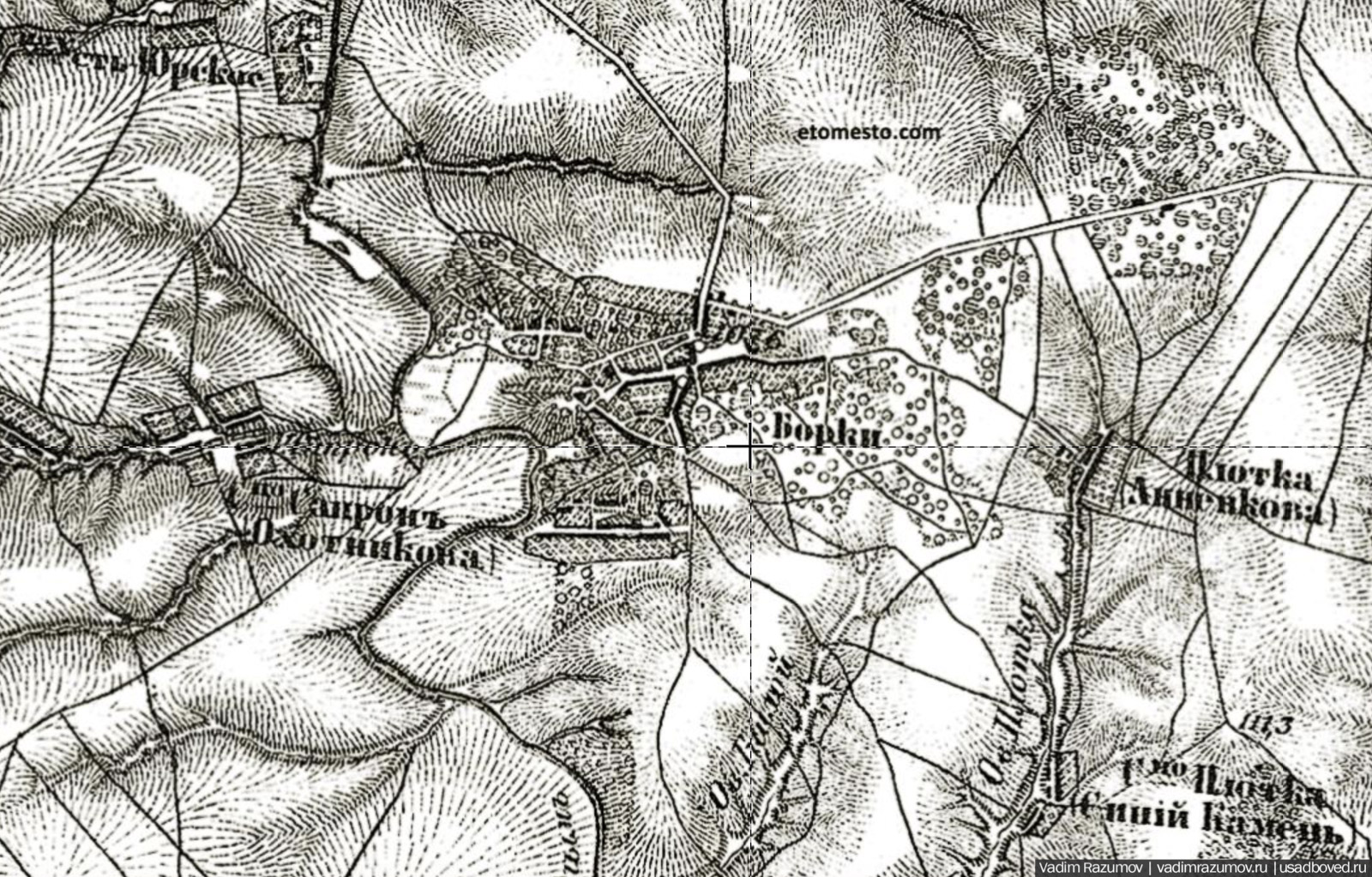 усадьба Борки, Липецкая область