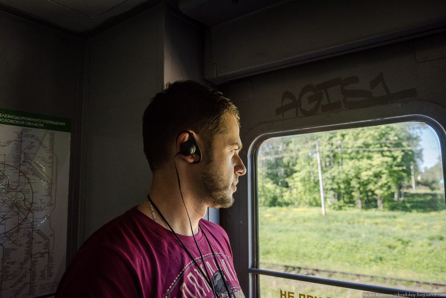 Экоэлектричка. Совиный фестиваль